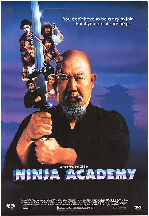 Ninja Academy Ninja Academy