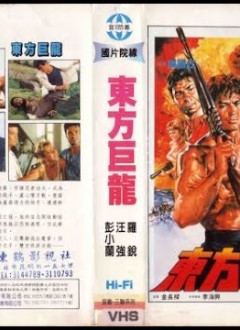 VHS japonaise